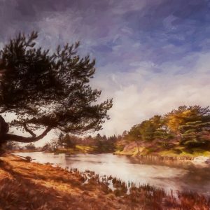 Custom Scenic Landscape Digital Painting
